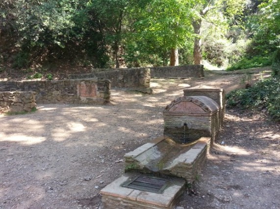 Caminada matinal i calçotada